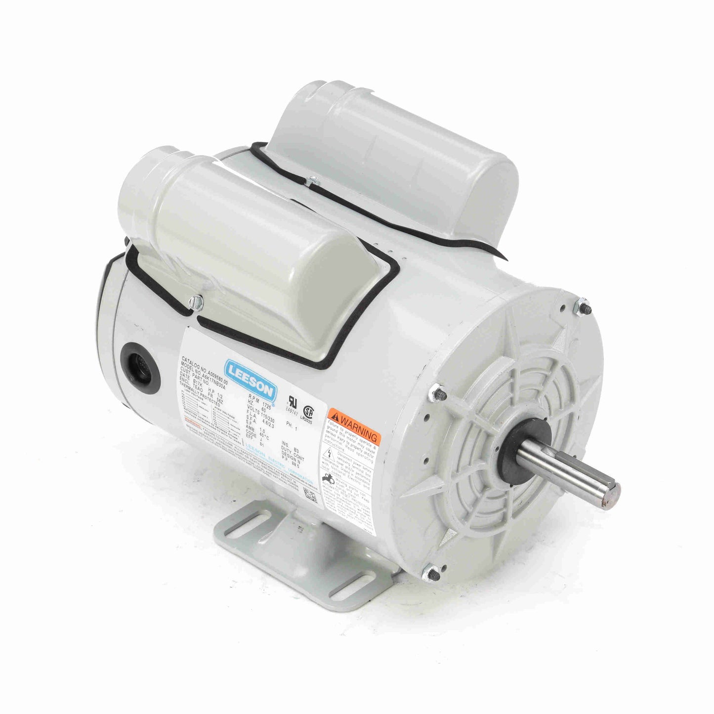 Leeson Electric A009581.00, 3/4 HP, 1800 RPM, 56 FR, 115/230 Vac, 1 PH, TEAO, Rigid Base, Agricultural Fan