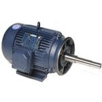 G151748.60, 20 HP, 3600 RPM, 254JP FR, TEFC, 208-230/460 Vac, 3 PH, Rigid Base, JP Pump