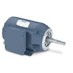 Leeson Electric 199090.00, 10 HP, 3600 RPM, 213JM FR, 208-230/460 Vac, 3 PH, DP, Rigid Base, JM Pump