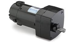 Leeson Electric M1125004.00, 1/17 Hp, 100 Rpm, 18:1, 36 Lb-in, 90 Vdc, TENV, 985.626, PZ Series , Parallel Shaft Gearmotor