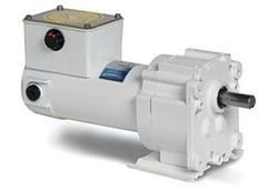 Leeson Electric M1125262.00, 1/8 Hp, 31 Rpm, 58:1, 220 LB-in, 90 Vdc, TENV, P300 Series, Rigid Base, IP55 Washguard, Parallel Shaft Gearmotor