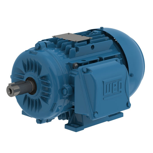 Weg Electric 00336ET3EAL100L-W22, 4 Hp, 3600 Rpm, 100L FR, 230/460//380-415 Vac, TEFC, 3 PH, Foot-mounted, Multimounting.