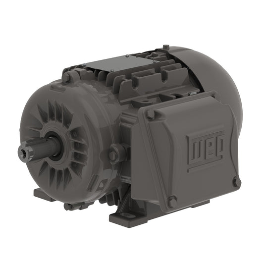 Weg Electric .2509EP3EAL80-W22, 1/3 Hp, 900 Rpm, 80 FR, 230/460//380-415 Vac, TEFC, 3 PH, Foot-mounted, Multimounting High Efficiency.