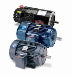 E2018, 215TTFW6001, 10 Hp,3600 Rpm, 215TC FR, 208-230/460 Vac, 3 PH,TEFC, C-Face Footed, General Purpose, Nema Premium XRI Efficiency. 60 Hertz