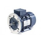 Leeson Electric 192245.00, 1 1/2 Hp - 1.1 KW, 3600 Rpm, D80D FR, 230/460 Vac, 3 PH, TEFC, B3/B14 Flange, Rigid Base, IEC Metric Motor