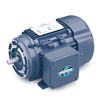 Leeson Electric 192028.00, 1/3 HP-0.25 kW, 1800 RPM, D71C FR, 230/460 Vac, 3 PH, TEFC, Rigid Base, General Motor, AC Metric Motor (IEC).