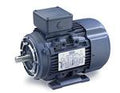 Leeson Electric 192247.00, 1 Hp - 0.75 KW, 1800 Rpm, D80C FR, 230/460 Vac, 3 PH, TEFC, B3/B14 Flange, Rigid Base, IEC Metric Motor.