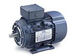 Leeson Electric 192247.00, 1 Hp - 0.75 KW, 1800 Rpm, D80C FR, 230/460 Vac, 3 PH, TEFC, B3/B14 Flange, Rigid Base, IEC Metric Motor.