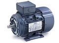 Leeson Electric 192058.30, 1 HP-0.75 kW, 1800 RPM, D80C FR, 230/460 Vac, 3 PH, TEFC, Rigid Base, B3/B14 Flange, AC Metric Motor (IEC)