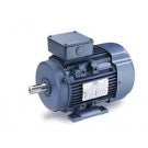 Leeson Electric 192042.00, 3/4 Hp - 0.55 KW, 1200 Rpm, D80 FR, 230/460 Vac, 3 PH, TEFC, B3 Flange, Rigid Base, IEC Metric Motor