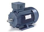 193310.60, 7 1/2 HP-5.5 kW, 1800 RPM, DF132S FR, TEFC, 230/460 Vac, 3 PH, Rigid Base, AC Metric (IEC)