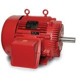 Leeson Electric LM80204, 350 HP, 1800 RPM, 449TS FR, TEFC, 460 Vac, 3 PH, Rigid Base, Lincoln Fire Pump