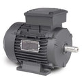 MM5500, .75 KW / 1.0 Hp, 3600 RPM, D80 FR, 230/460 Vac, 3 PH, TEFC, B3, Foot Mounted, IEC Metric Motor