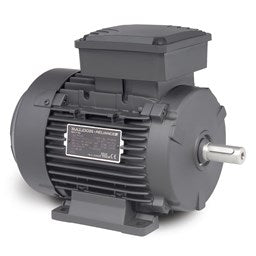 (MM5200) .25 KW / .33 Hp, 230/460 Vac, 3 Phase Input, D63 Frame
