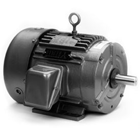 LM26285, 5 HP, 1800 RPM, 184T FR, TEFC, 200/400 Vac, 3 PH, Rigid Base, Special Voltage