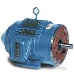 810096.00, 40 HP, 1200 RPM, 364T FR, TEFC, 230/460 Vac, 3 PH, Rigid Base & Rigid C Face, Inverter Duty Motors/Vector Duty Motors