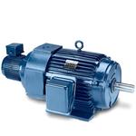 Leeson Electric 811529.00, 300 HP, 1800 RPM, 449T FR, TEFC, 460 Vac, 3 PH, Rigid Base & Rigid C Face, Inverter Duty Motors/Vector Duty Motors