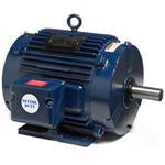 824539.00, 75 Hp, 1800 Rpm, 365T FR, TEAO, 230/460 Vac, 3 PH, Rigid Base, Cast Iron, Cooling Tower Single Speed Motor
