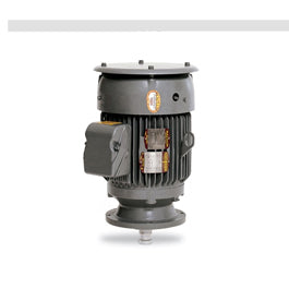 VLCP3661T, 3 Hp, 1800 RPM, 182LP FR, 230/460 Vac, 3 PH, TEFC, Medium Thrust, Standard Efficiency, P-Base Vertical Solid Shaft Pump Motor