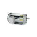 CSWDM3558, 2 Hp, 1800 Rpm, 56C FR, 230/460 Vac, 3 PH, C-Face, TEFC, Foot Mounted, Washdown Duty Motor, Paint-Free