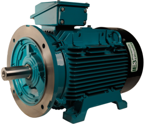 BA2M.33V4D, 1/3 HP-0.25 kW, 3600 RPM, D63D FR, 230/460 Vac, 3 PH, TEFC, Rigid Base, B3/B5 Flange, AC Metric Motor (IEC)