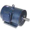 G151540.60, 15 HP, 1800 RPM, 254T FR, ODP, 208-230/460 Vac, 3 PH, Rigid Base, Grain Dryer/Centrifugal Fan