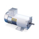 098040.00, 3/4 Hp, 1750 Rpm, 80 FR, TENV, 180 Vdc, B5 Flange with Removable Base, Washguard , DC Motor