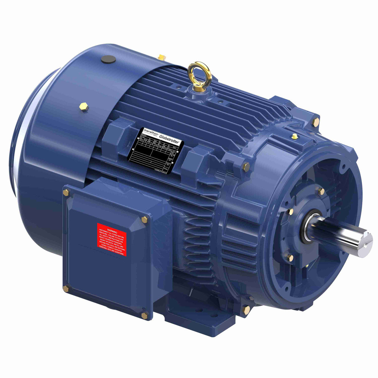 LM03674, 40 HP, 1800 RPM, 324TC FR, DP, 230/460 Vac, 3 PH, Double C Face/Double Shaft w/Base, Encapsulated Multiguard