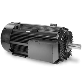 Leeson Electric LM22219, 200 HP, 1800 RPM, 447T FR, TEFC, 2300/4000 Vac, 3 PH, Rigid Base, Medium Voltage