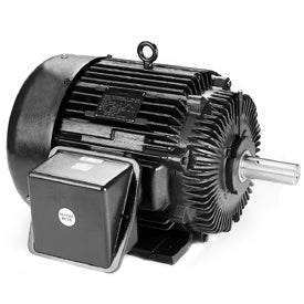 Leeson Electric LM31049, 300 HP, 1800 RPM, 449T FR, TEFC, 460 Vac, 3 PH, Rigid Base, Crusher Duty
