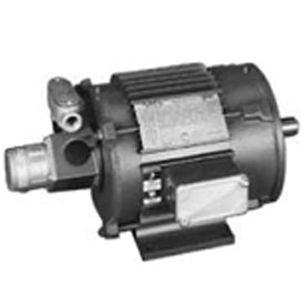LM26278, 1.5 HP, 1800 RPM, 145TC FR, TEFC, 230/460 Vac, 3 PH, Rigid Base & Rigid C Face, Vector Duty