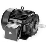 Leeson Electric LM33030, 100 HP, 1200 RPM, 444T FR, TEFC, 460 Vac, 3 PH, Rigid Base, Crusher Duty