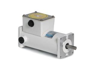 Leeson Electric M1120181.00, 1/8 HP, 1750 RPM, 31S FR, TENV, 90 VDC, Square Flange or C Face, SCR Rated DC Washguard Motors