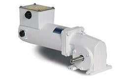 Leeson Electric M1125280.00, 1/4 Hp, 62 Rpm, 40:1, 135 LB-in, 12 Vdc, TENV, Rigid Base, IP55 Washguard, Right Angle DC Gearmotor