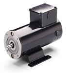 Leeson Electric M1130143.00, 1/3 HP, 3000 RPM, 63 FR, TEFC, 180 VDC, B14 Flange, DC Metric