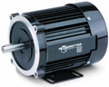 0285, 1/5 Hp, 1800 Rpm, 112 Oz-in., 48R6BFSY, 115/230 Vac., Split Phase, Synchronous