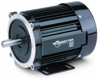0285, 1/5 Hp, 1800 Rpm, 112 Oz-in., 48R6BFSY, 115/230 Vac., Split Phase, Synchronous