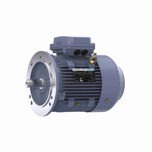 Marathon Electric R252, 4 Hp, 1800 Rpm, 100L FR, 230/460 Vac, 3 PH, TEFC, Rigid Base, Globetrotter IEC Frame Motor, TCA0032AE221GAA009.