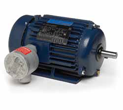 Marathon Electric U063B, 10 Hp, 3600 Rpm, 215T FR, 230/460 Vac, 3 PH, EPFC, Rigid Base, Hazardous Duty Explosion Proof Motor, 215TTGND6501.