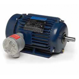 U974, 405TSTGS1001, 100 Hp, 3600 Rpm, 405TS FR, 230/460, 3 PH, TEFC,  Rigid Base, Hazardous Duty, Explosion Proof, EPAct Efficiency