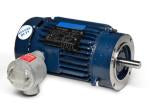 Marathon Electric C308B, 20 Hp, 3600 Rpm, 256TC FR, 230/460 V, 3 PH, Rpm TEFC, C-Face Footless, Hazardous Duty, Explosion Proof, 256TTGN16004