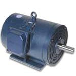 Leeson Electric 171861.60, 10 HP, 1800 RPM, 215TZ FR, DP, 208-230/460 Vac, 3 PH, Rigid Base, Grain Dryer/Centrifugal Fan
