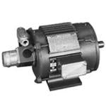 LM03987, 2 HP, 1800 RPM, 182TC FR, TEFC, 230/460 Vac, 3 PH, Rigid Base & Rigid C Face, Vector Duty