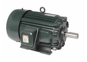 B0204FLF2OSH02, 20 HP, 1800 RPM, 256T FR, TEFC, 575 Vac, General Purpose